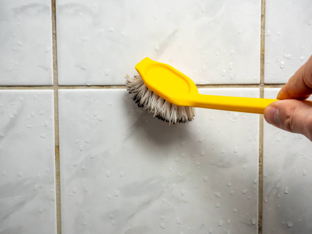 Best Commercial Mold Removal  in Cherry Valley, IL
