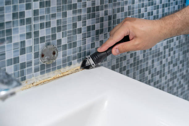 Best Home Mold Removal  in Cherry Valley, IL