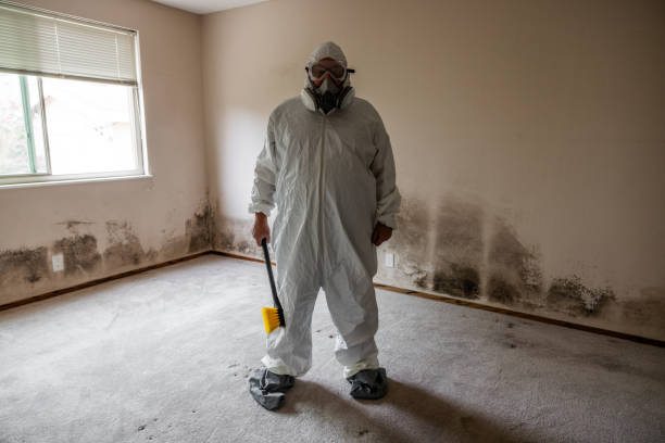Best Toxic Mold Removal  in Cherry Valley, IL